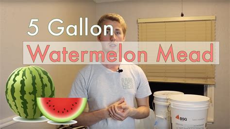Check spelling or type a new query. 5 Gallon Watermelon Mead! - YouTube