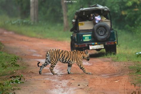How To Reach The National Parks Of India Tiger Safari India Blog