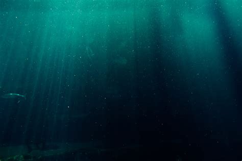 O Que Sabemos Sobre As Profundezas Do Oceano E Por Que é Tão