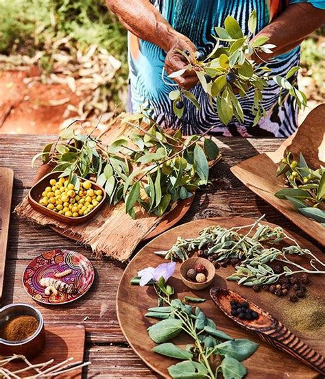 eat under the stars at uluru native foods australia food aboriginal food