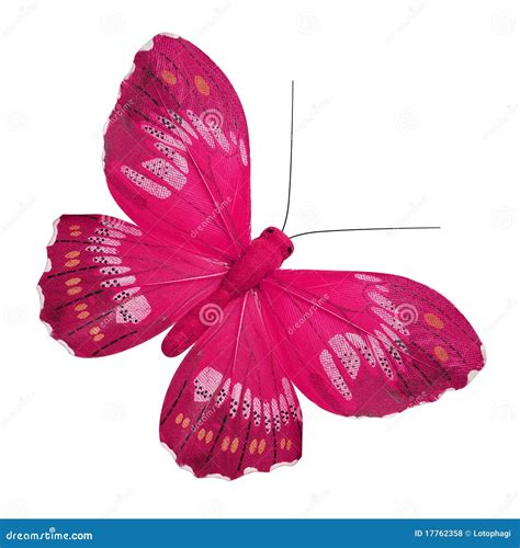 Top 999 Pink Butterfly Images Amazing Collection Pink Butterfly