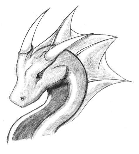 Dragon Sketch 4 By Ryu Takeshi On Deviantart