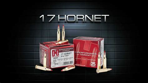 17 Hornet 2012 Product Overview From Hornady Youtube