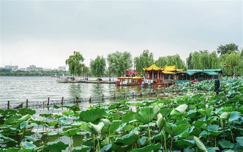 Jinan Daming Lake Jinan Scenic Spots
