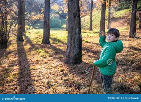 The Boy Was Lost In The Forest Looking For A Way Home The Child Stock