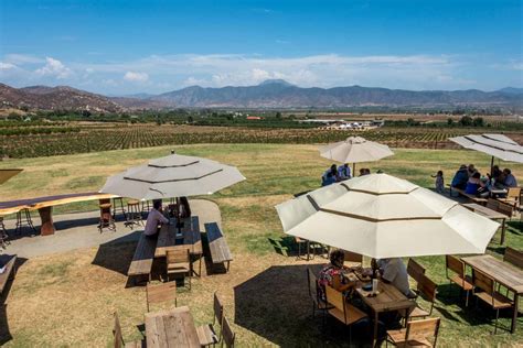 Complete Guide To The Valle De Guadalupe Wineries In Baja Mexico