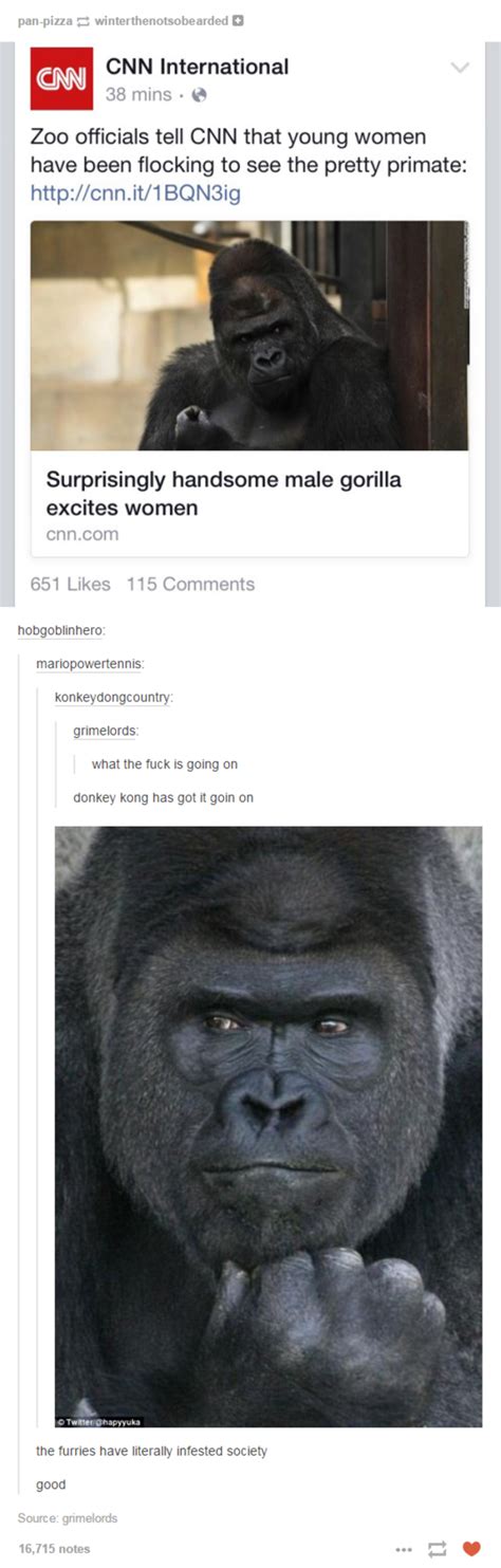 know your meme on twitter [pic] handsome gorilla is so hot right now rzytipjhrb