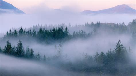 The Misty Highlands Scotland Landscape Misty Forest Landscape Scenery