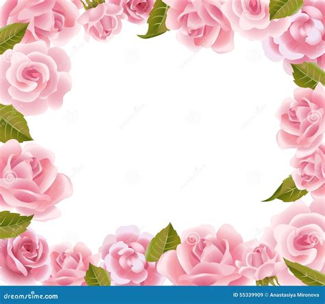 Frame From Pink Roses Stock Vector Illustration Of Beauty 55339909