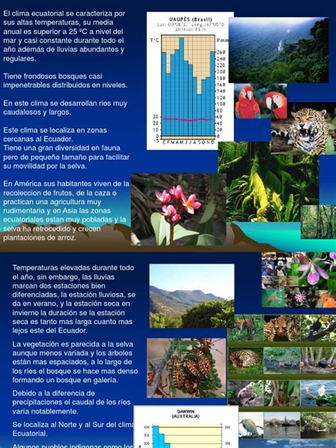 El Clima Ecuatorial Se Caracteriza Por Sus Pdf Ciencias