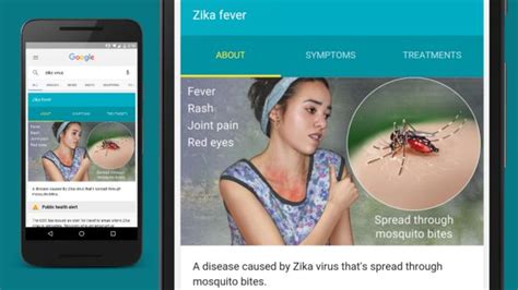 Google Donates 1m To Fight Zika Virus BBC News