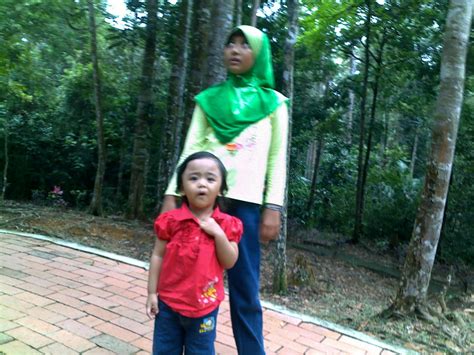C of or relating to a temperature scale that registers the freezing point of water as 0° and. My Family Story: Bukit Cahaya Seri Alam (Bukit CERAKAH)