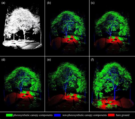 Different Classification Stages Of An Individual Tree Point Cloud Data