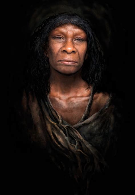 Rosa Rubicondior Human Evolution News We Have More Neanderthal Dna