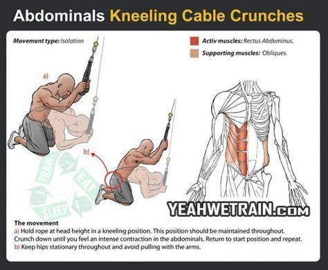Abdominals Kneeling Cable Crunches Fitness Exercise Gym Abs Workout