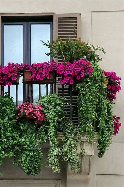 Hanging Balcony Plants And Blooming Flowers For A Spectacular Exterior