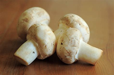 White Mushrooms From The Hollywood Farmers Market Flickr
