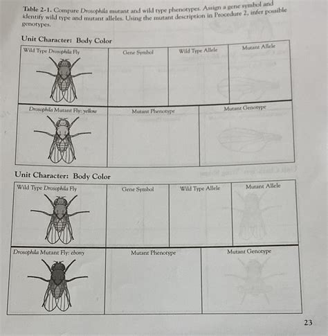 Table 2 1 Compare Drosophila Mutant And Wild Type Phenotypes