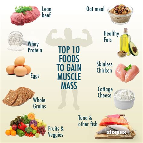 Top 10 Foods To Gain Muscle Mass Food To Gain Muscle Dog Food