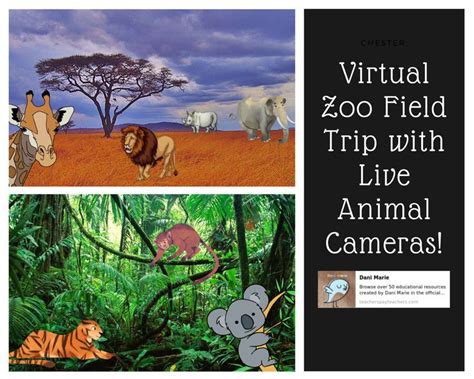Virtual Zoo Field Trip Field Trip Online Teaching Resources Online