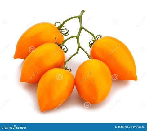 Orange Plum Tomato Stock Image Image Of Studio Fresh 164677055