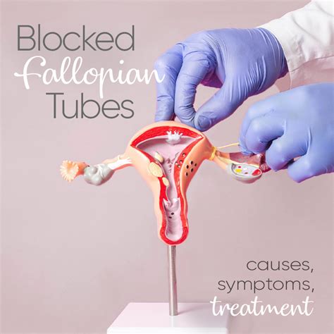 Fallopian Tube Recanalization FTR Fibroid Treatment Clinic