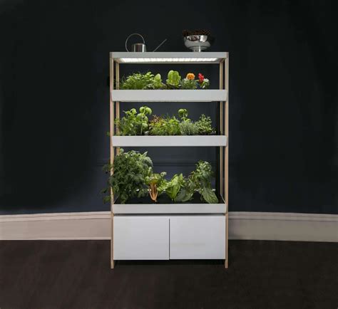 Six Indoor Hydroponic Gardens For Rising Your Possess Fruits And Veggies