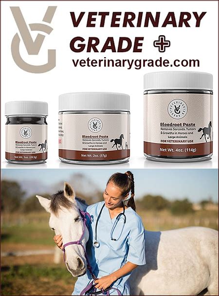 Sarcoid Treatment For Horses