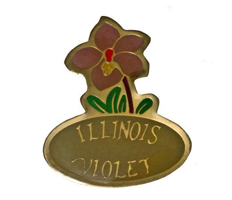 Violet Illinois State Flower Vintage Enamel Pin Lapel Badge Etsy