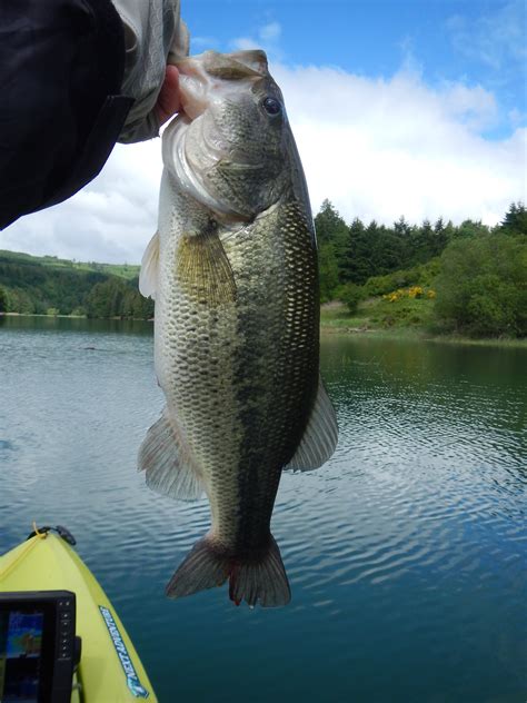 Pretty tough day at Hagg Lake, 28 May 2021 | IFish Fishing Forum