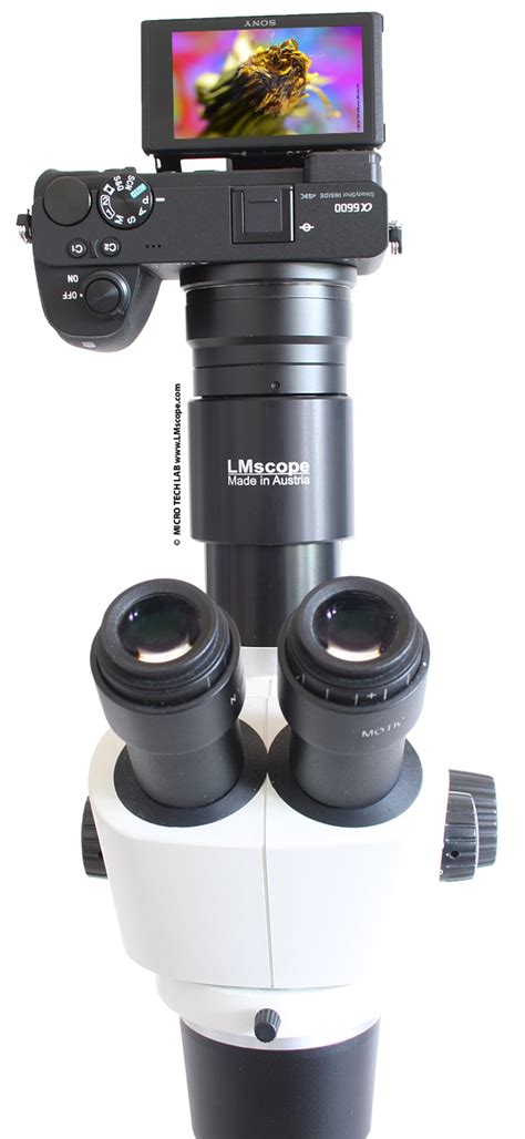 Powerful Sony System Cameras On The Microscope Remote Capture