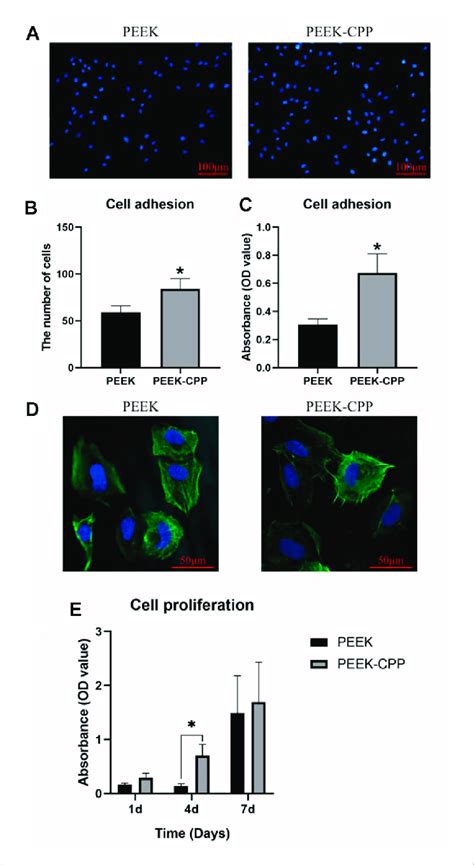 Cell Adhesion And Proliferation On Different Peek Specimens A B