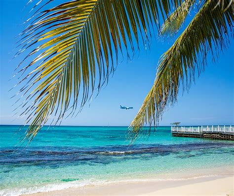 Beste Reisezeit Jamaika Klimainfos Für Jamaika Tui