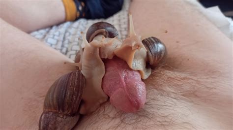 Cock Ball Giant Snails Almost Make Me Moan