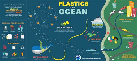 Why Plastic Is A Problem For Sea Turtles And The Ocean Clearwater
