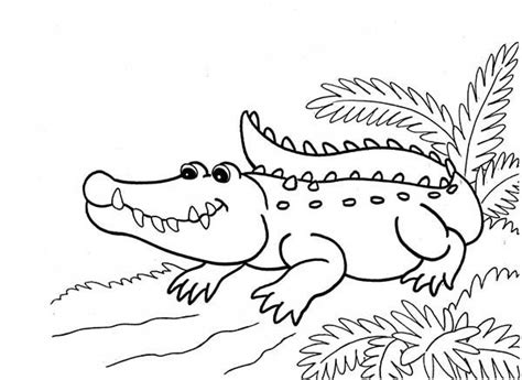 Supercoloring.com is a super fun for all ages: Coloriage Crocodile qui sourit dessin gratuit à imprimer