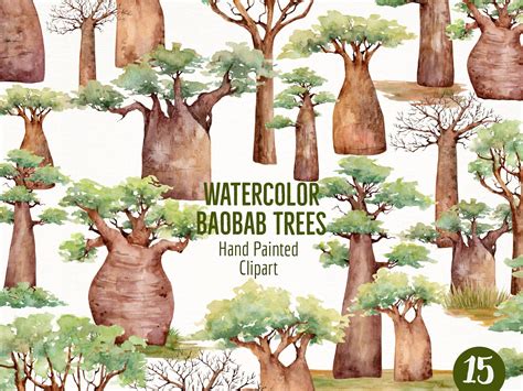 Watercolor Baobab Tree Hand Painted Clipart Botanical African Etsy