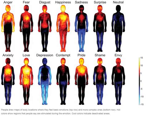 Mapping Emotions In Your Body Onward