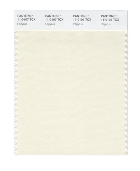 Pantone 11 0107 Tcx Swatch Card Papyrus Buy In India