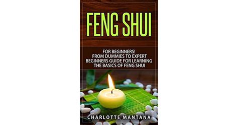 Feng Shui For Beginners From Dummies To Expert Beginners Guide For Learning The Basics Of Feng