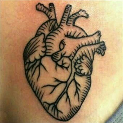 Anatomical Heart Anatomical Tattoos Anatomical Heart Tattoo Human Heart Tattoo