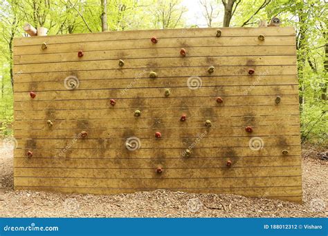 Outdoor Wooden Climbing Wall In A Forest Stock Photo Image Of Green