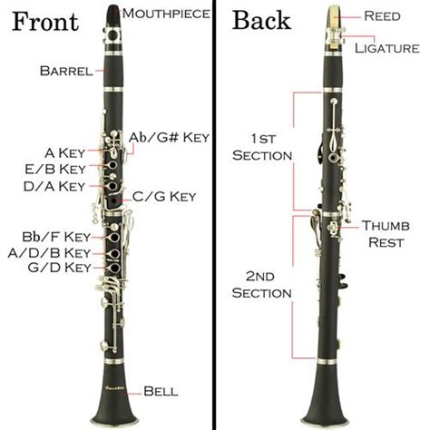 Clarinet Diagram Plus The Basics On How To Get Started Playing The
