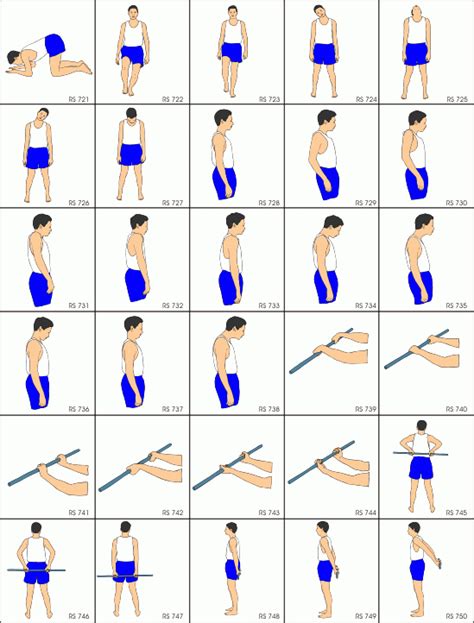 Exclusive Physiotherapy Guide For Physiotherapists Stretching Exercise