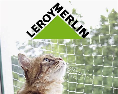 Las Mejores Redes Para Gatos Según Leroy Merlín