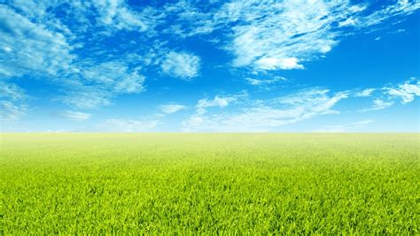 25 Sky And Grass Wallpapers Wallpaperboat