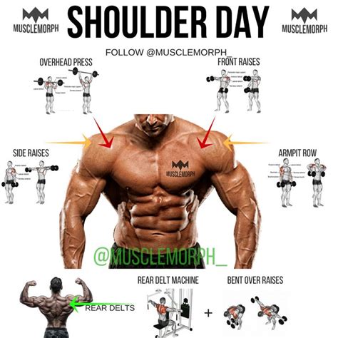 Shoulder Day Shoulder Exercise Shoulder Training Musclemorph