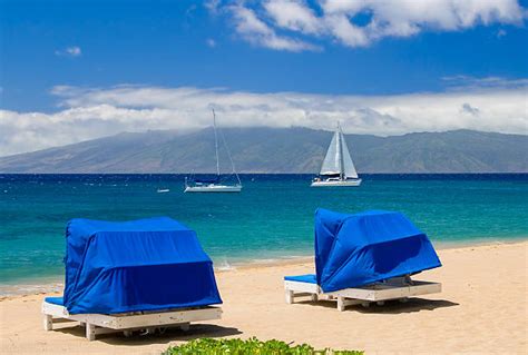 Hawaii Beach Hut Stock Photos Pictures And Royalty Free Images Istock