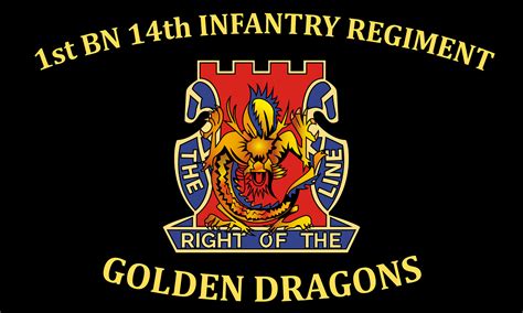 14th In Flags And Guidons Double Sided Golden Dragons Etsy