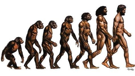 8 Imágenes Que Resumen La Evolución Del Ser Humano In 2020 With Images Evolution Human